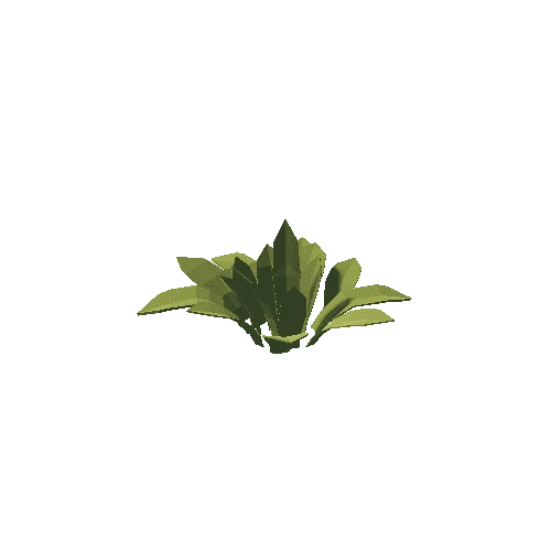 Plant_1 Variant